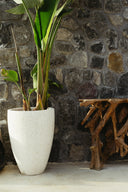 VASES & POTS