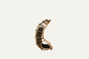 Hanging chair with black cushion and pillow - PRICE MISSING