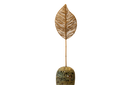 Water hyacinth leaf stick