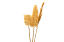 Natural agave leaf sticks