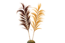 Natural agave leaf sticks