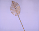 Water hyacinth leaf stick